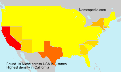Surname Niche in USA