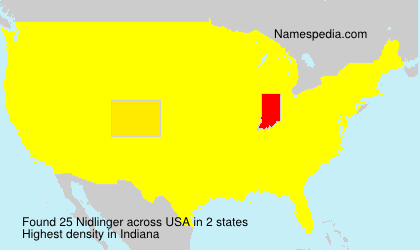 Surname Nidlinger in USA