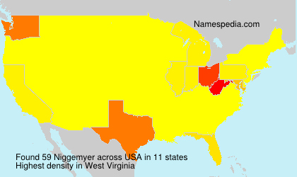 Surname Niggemyer in USA
