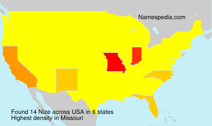Surname Nize in USA