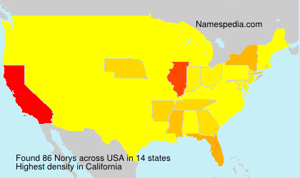 Surname Norys in USA