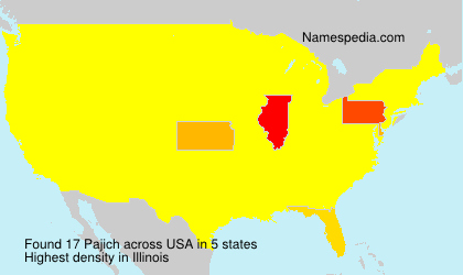 Surname Pajich in USA