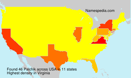 Surname Palchik in USA