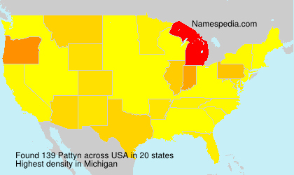 Surname Pattyn in USA