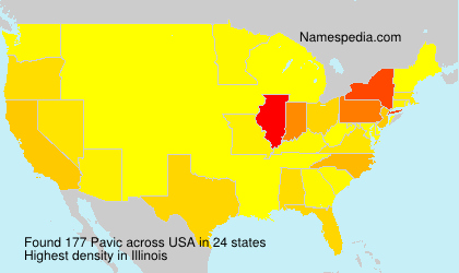 Surname Pavic in USA