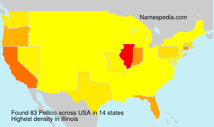Surname Pellico in USA