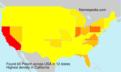 Surname Pesich in USA