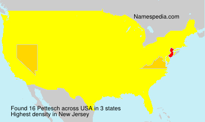 Surname Pettesch in USA
