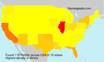 Surname Pettifer in USA