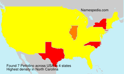 Surname Pettolino in USA
