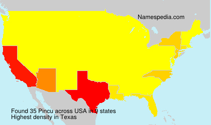 Surname Pincu in USA