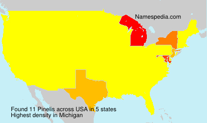 Surname Pinelis in USA