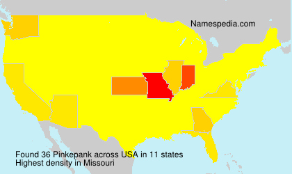 Surname Pinkepank in USA