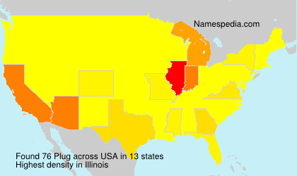 Surname Plug in USA