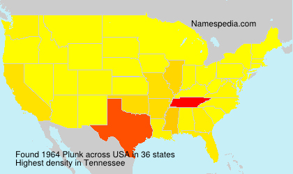Surname Plunk in USA