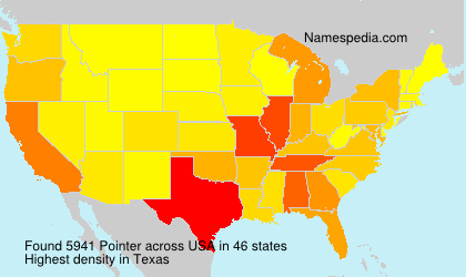Surname Pointer in USA