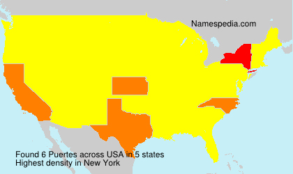 Surname Puertes in USA