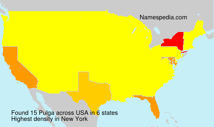 Surname Pulga in USA