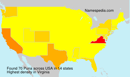 Surname Puna in USA