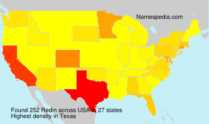 Surname Redin in USA