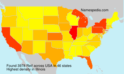 Surname Reif in USA