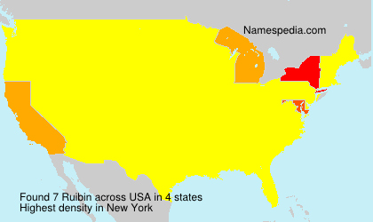 Surname Ruibin in USA