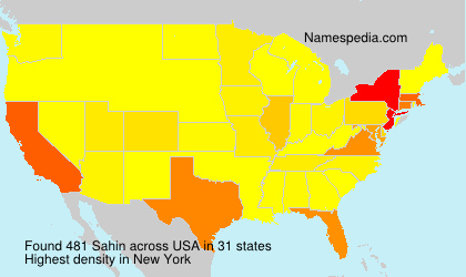 Surname Sahin in USA