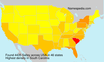 Surname Salley in USA