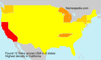 Surname Salvy in USA