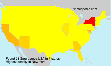 Surname Saru in USA