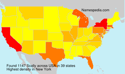 Surname Scally in USA