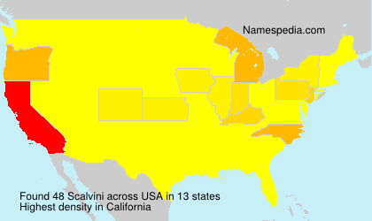 Surname Scalvini in USA