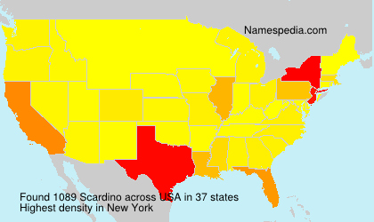 Surname Scardino in USA