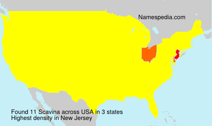 Surname Scavina in USA