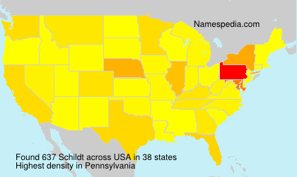 Surname Schildt in USA