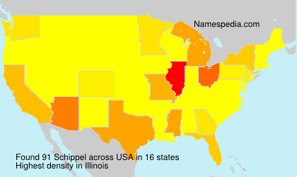 Surname Schippel in USA