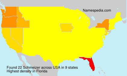 Surname Schmeizer in USA