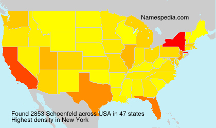 Surname Schoenfeld in USA