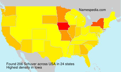 Surname Schuver in USA