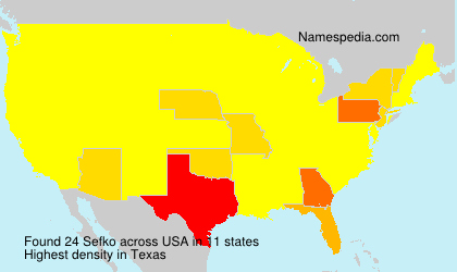 Surname Sefko in USA