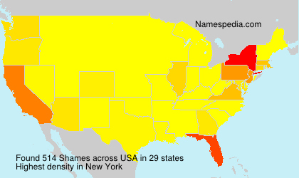 Surname Shames in USA