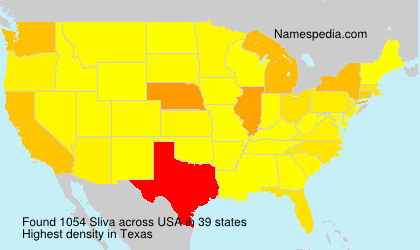 Surname Sliva in USA