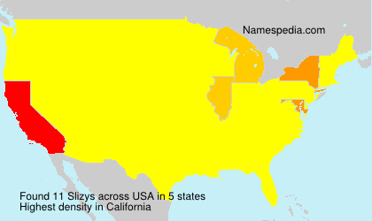 Surname Slizys in USA