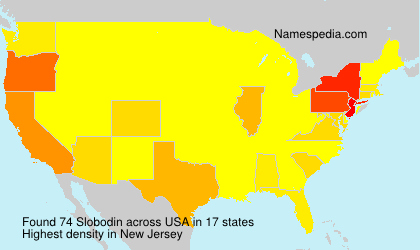 Surname Slobodin in USA