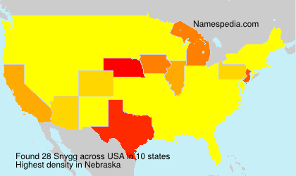 Surname Snygg in USA