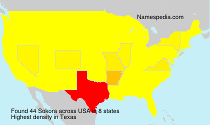 Surname Sokora in USA