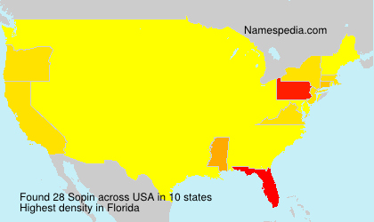 Surname Sopin in USA