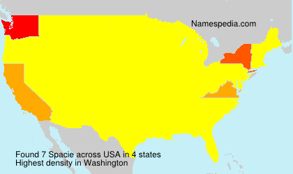 Surname Spacie in USA
