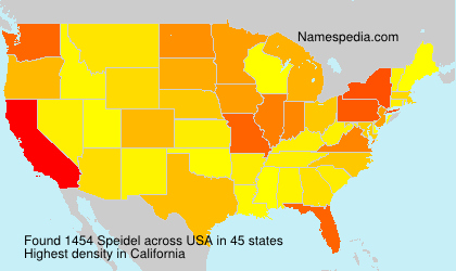 Surname Speidel in USA