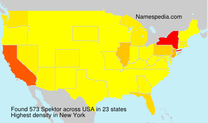 Surname Spektor in USA